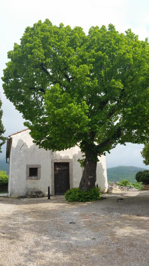 Apartments Renata - Brseč Dış mekan fotoğraf