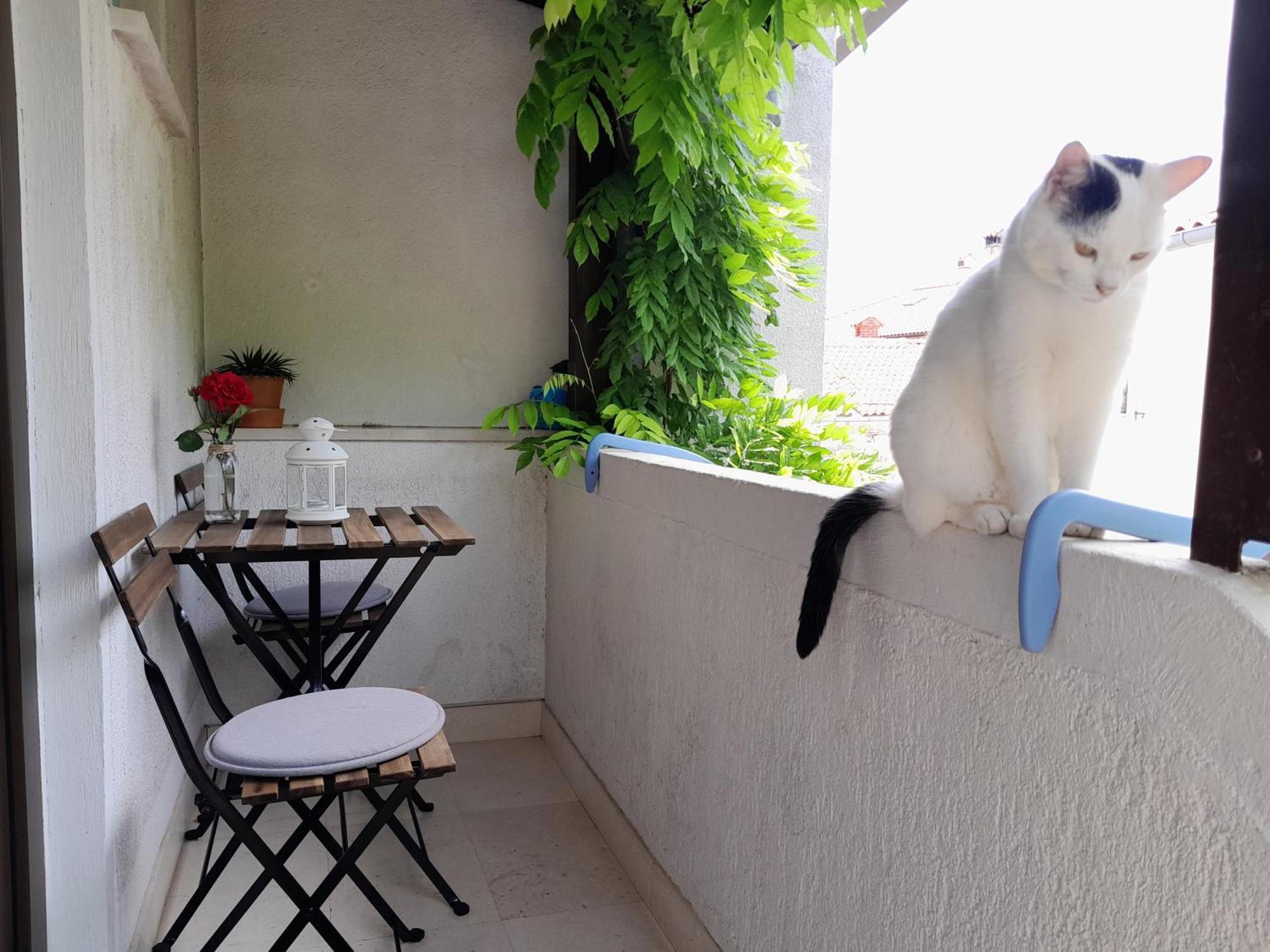Apartments Renata - Brseč Dış mekan fotoğraf