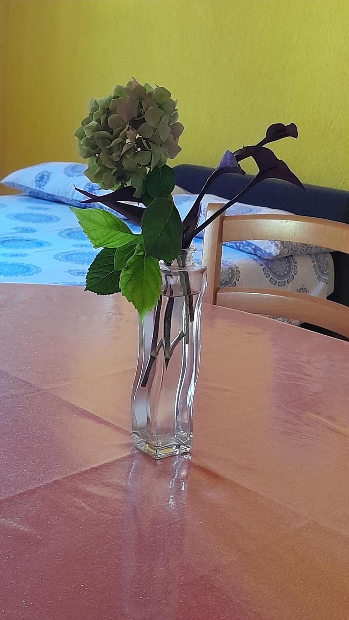 Apartments Renata - Brseč Dış mekan fotoğraf