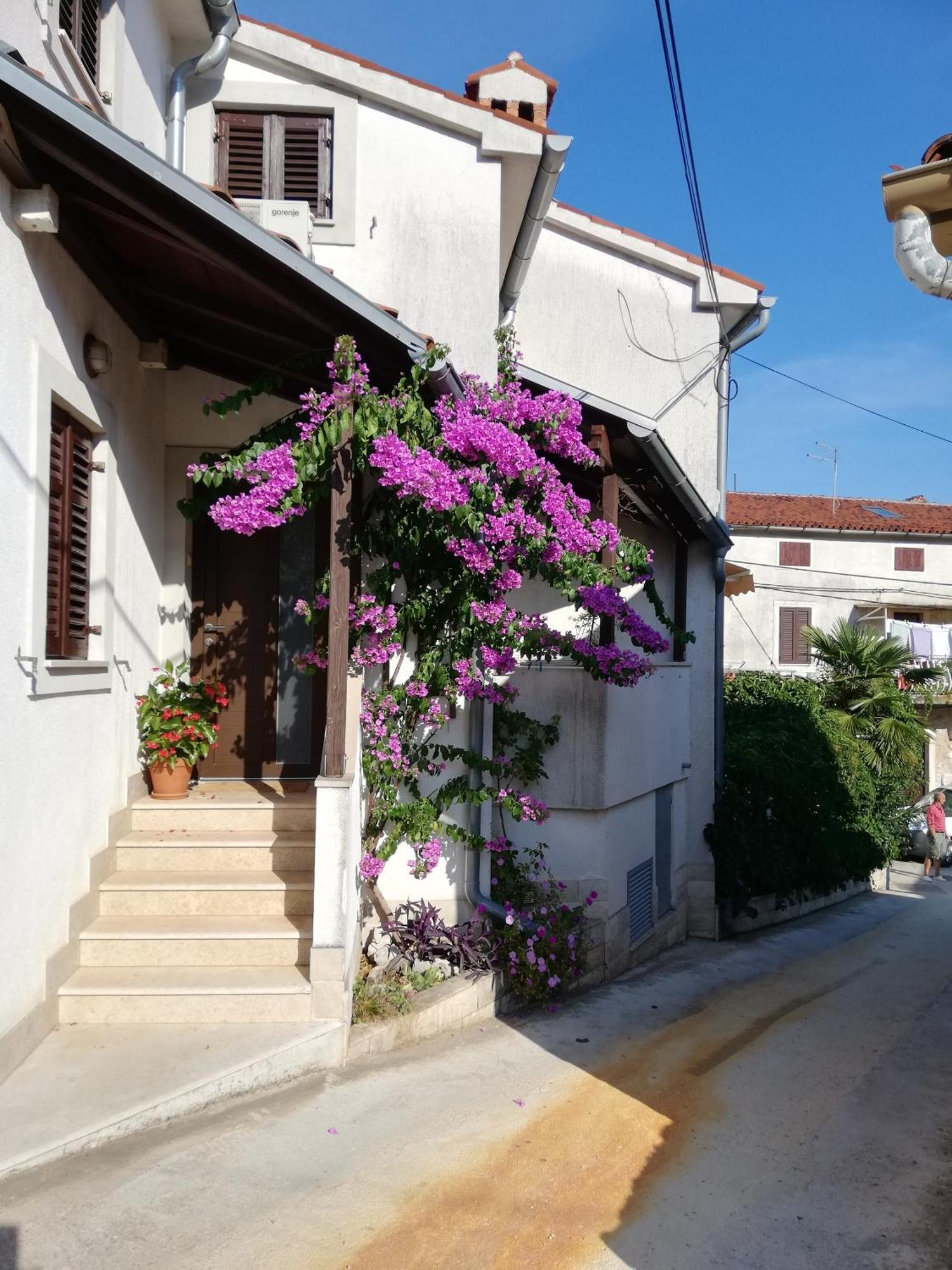 Apartments Renata - Brseč Dış mekan fotoğraf
